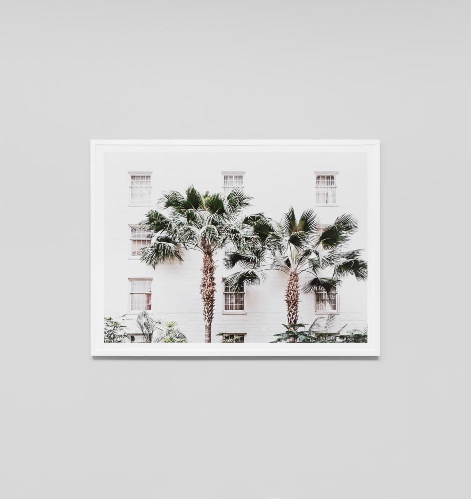 Middle of Nowhere 'Palm Resort' Framed Print - Norsu Interiors (2523965816916)